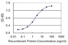 Anti-MYCBP Mouse Monoclonal Antibody [clone: 2E9]