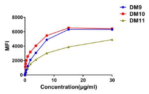 Affinity ranking of different rabbit monoclonal Anti-CS1 Antibodies by titration of different concentrations onto Raji cells. The Y-axis represents the mean fluorescence intensity (MFI) while the X-axis represents the concentration of IgG used