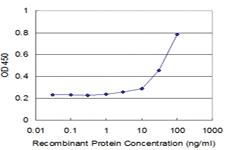 Anti-BST2 Mouse Monoclonal Antibody [clone: 3H4]