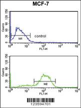 Anti-DAGLB Rabbit Polyclonal Antibody