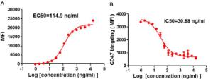 A) Flow cytometry data of serially titrated Anti-SIRP alpha Antibody [DM8] - Azide free (A318677). The Y-axis represents the mean fluorescence intensity (MFI) while the X-axis represents the concentration of IgG used. B) Competition assay demonstrating DM8 blockade of CD47 binding to THP-1 cells