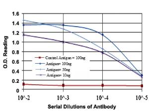 Anti-FUK Mouse Monoclonal Antibody [clone: 6E2]