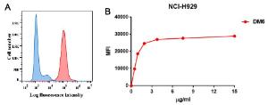 A. Flow cytometry analysis with Anti-BCMA Antibody [DM6] - Azide free (A318678) on NCI-H929 cells (red histogram) or rabbit control antibody on NCI-H929 cells (blue histogram). B. Flow cytometry data of serially titrated Anti-BCMA Antibody [DM6] - Azide free (A318678) on NCI-H929 cells.