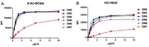 Affinity ranking of different monoclonal antibodies by titration of antibody concentration onto K562-BCMA or NCI-H929 cells. Different concentrations of various Anti-BCMA Antibodies were incubated with K562-BCMA (A) or NCI-H929 cells (B) at 4°C.