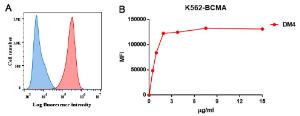 Antibody A318679-500