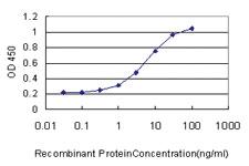 Anti-RACGAP1 Mouse Monoclonal Antibody [clone: 1G6]