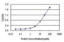 Anti-AHSG Polyclonal Antibody Pair