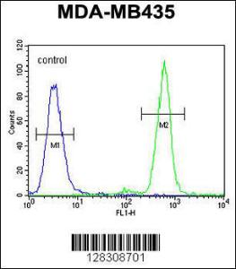 Anti-TAPT1 Rabbit Polyclonal Antibody (APC (Allophycocyanin))