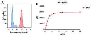 Antibody A318679-500