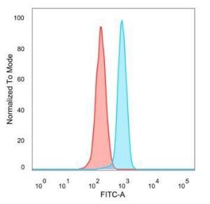 Flow cytometric analysis of PFA-fixed HeLa cells using Anti-KLF12 Antibody [PCRP-KLF12-1E3] followed by Goat Anti-Mouse IgG (CF and #174; 488) (Blue). Unstained cells (Red)