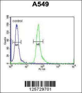 Anti-HEMK1 Rabbit Polyclonal Antibody (HRP (Horseradish Peroxidase))