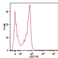 Anti-CD27 Mouse Monoclonal Antibody [clone: LT27]