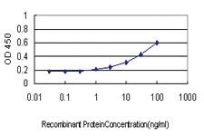 Anti-TPSAB1 Mouse Monoclonal Antibody [clone: 2A10-B5]