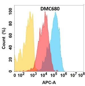 CXCR4 protein is expressed on the surface of Expi293 cell membrane