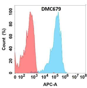 Flow cytometry analysis with Anti-CXCR5 Chimeric Antibody [DMC679] - Azide free (A318689) on Expi293 cells transfected with human CXCR5 (blue histogram) or Expi293 transfected with irrelevant protein (red histogram)