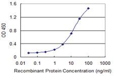 Anti-SNX20 Mouse Monoclonal Antibody [clone: 4E9]