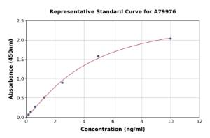 Representative standard curve for Human Endostatin/COL18A1 ELISA kit (A79976)