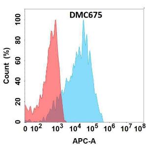 Flow cytometry analysis with Anti-Cadherin 6 Chimeric Antibody [DMC6765] - Azide free (A318690) on Expi293 cells transfected with human CDH6 (blue histogram) or Expi293 transfected with irrelevant protein (red histogram)