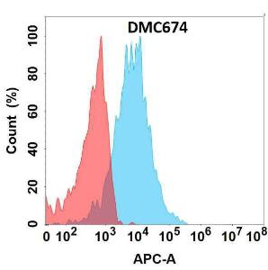 Flow cytometry analysis with Anti-CD74 Chimeric Antibody [DMC674] - Azide free (A318691) on Expi293 cells transfected with human CD74 (blue histogram) or Expi293 transfected with irrelevant protein (red histogram)