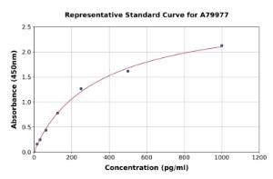 Representative standard curve for Rat E-Selectin/CD62E ELISA kit (A79977)