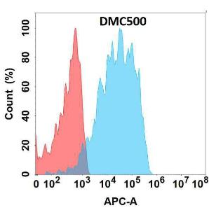 Flow cytometry analysis with Anti-HBEGF/DTR Chimeric Antibody [DMC500] - Azide free (A318693) on Expi293 cells transfected with human HBEGF (blue histogram) or Expi293 transfected with irrelevant protein (red histogram)