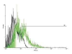 Anti-ADGRE1 Mouse Polyclonal Antibody