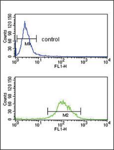 Anti-TAT Rabbit Polyclonal Antibody