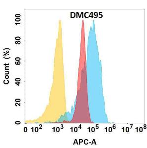 Flow cytometry analysis with Anti-YAP1 Chimeric Antibody [DMC495] Azide free (A318698) on Expi293 cells transfected with human YAP1 (blue histogram) or Expi293 transfected with irrelevant protein (red histogram), and isotype control on Expi293 transfected with irrelevant protein (orange histogram)