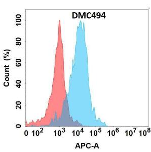 Flow cytometry analysis with Anti-CD32a Chimeric Antibody [DMC494] - Azide free (A318699) on Expi293 cells transfected with human CD32a (blue histogram) or Expi293 transfected with irrelevant protein (red histogram)