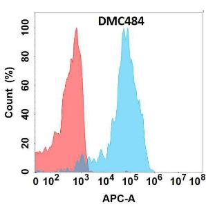 Flow cytometry analysis with Anti-E Cadherin Chimeric Antibody [DMC484] - Azide free (A318706) on Expi293 cells transfected with human CDH1 (blue histogram) or Expi293 transfected with irrelevant protein (red histogram)