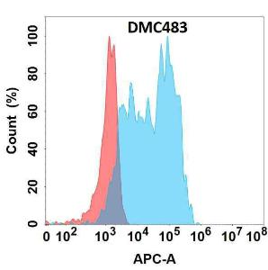 Anti-YKL-40/CHI3L1 Recombinant Recombinant Antibody [clone: DMC483]