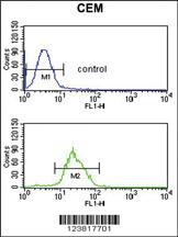 Anti-ITPKC Rabbit Polyclonal Antibody