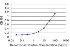 Anti-EN1 Mouse Monoclonal Antibody [clone: 3H2]