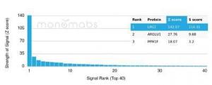 Analysis of protein array containing more than 19,000 full-length human proteins using Anti-LRG1 Antibody [LRG1/4882] Z-Score and S- Score