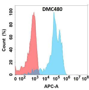 Flow cytometry analysis with Anti-MCK10/NEP Chimeric Antibody [DMC480] - Azide free (A318710) on Expi293 cells transfected with human DDR1 (blue histogram) or Expi293 transfected with irrelevant protein (red histogram)