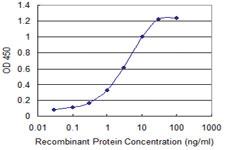 Anti-SH3RF1 Mouse Monoclonal Antibody [clone: 1F7]