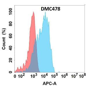 Flow cytometry analysis with Anti-GPCR GPR87 Chimeric Antibody [DMC478] - Azide free (A318712) on Expi293 cells transfected with human GPR87 (blue histogram) or Expi293 transfected with irrelevant protein (red histogram)