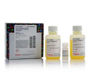 Quantitative peroxide assay kiit (aqueous)