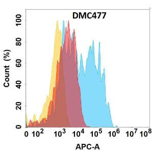 Anti-CCR6 Chimeric Antibody [DMC477]