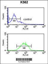 Anti-HHAT Rabbit Polyclonal Antibody (Biotin)