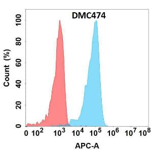 Flow cytometry analysis with Anti-GDF15 Chimeric Antibody [DMC474] - Azide free (A318716) on Expi293 cells transfected with human GDF15 (blue histogram) or Expi293 transfected with irrelevant protein (red histogram)