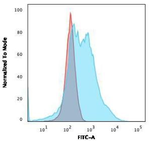 Flow cytometric analysis of A549 cells using Anti-Nucleophosmin Antibody [NPM1/3286] followed by Goat Anti-Mouse IgG (CF&#174; 488) (Blue). Isotype Control (Red)