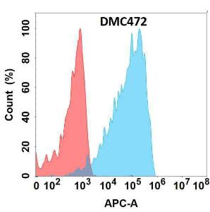 Flow cytometry analysis with Anti-Eph Receptor A4 / SEK Chimeric Antibody [DMC472] - Azide free (A318718) on Expi293 cells transfected with human EPHA4 (blue histogram) or Expi293 transfected with irrelevant protein (red histogram)