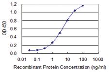 Anti-MFAP3 Mouse Monoclonal Antibody [clone: 1C7]