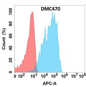 Flow cytometry analysis with Anti-CXCR1 Chimeric Antibody [DMC470] - Azide free (A318720) on Expi293 cells transfected with human CXCR1 (blue histogram) or Expi293 transfected with irrelevant protein (red histogram)