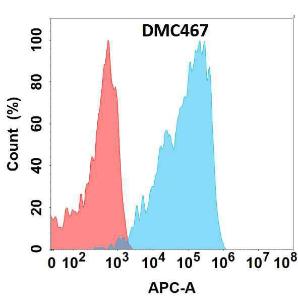 Flow cytometry analysis with Anti-TGF beta Receptor II Chimeric Antibody [DMC467] - Azide free (A318723) on Expi293 cells transfected with human TGFBR2 (blue histogram) or Expi293 transfected with irrelevant protein (red histogram)