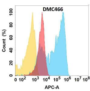 Anti-NG2 Chimeric antibody