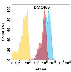 Antibody A318725-500