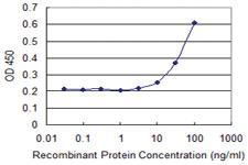 Anti-HOXD3 Mouse Monoclonal Antibody [clone: 3C2]