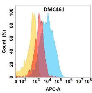 CLU protein is highly expressed on the surface of Expi293 cell membrane